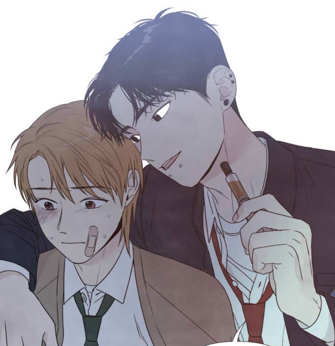 𝐌𝐢𝐣𝐨 🫧 tweet media