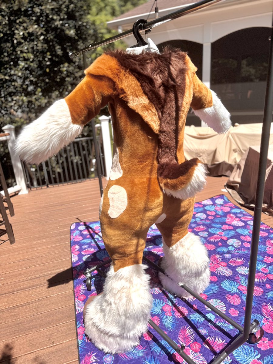 Cheer Creativity tweet media