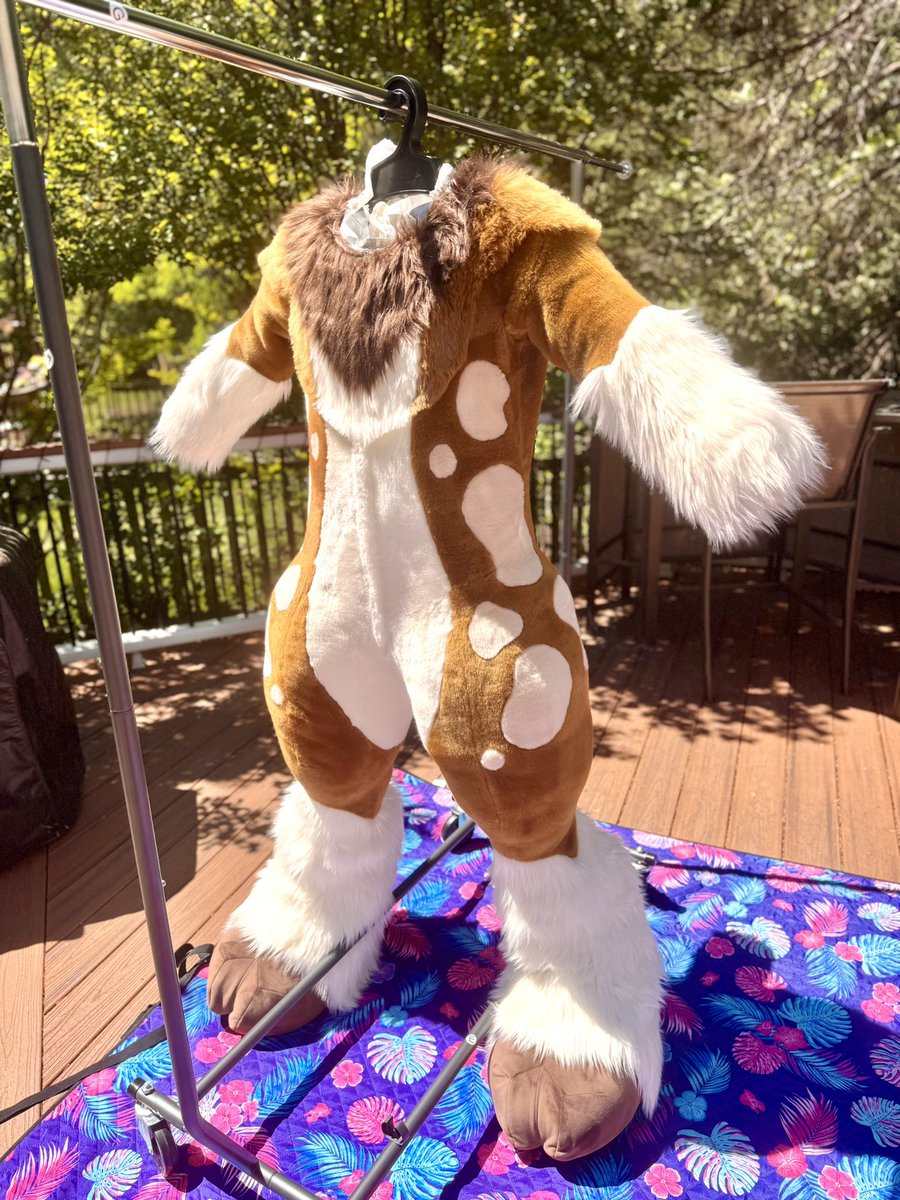 Cheer Creativity tweet media