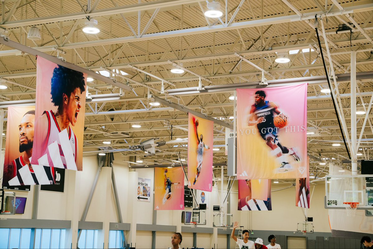 Pro Insight tweet media