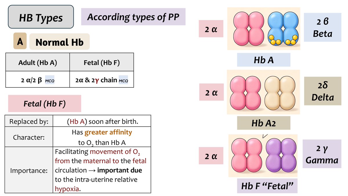 Dr.Action potential (@Actionpotent1) / Posts / X