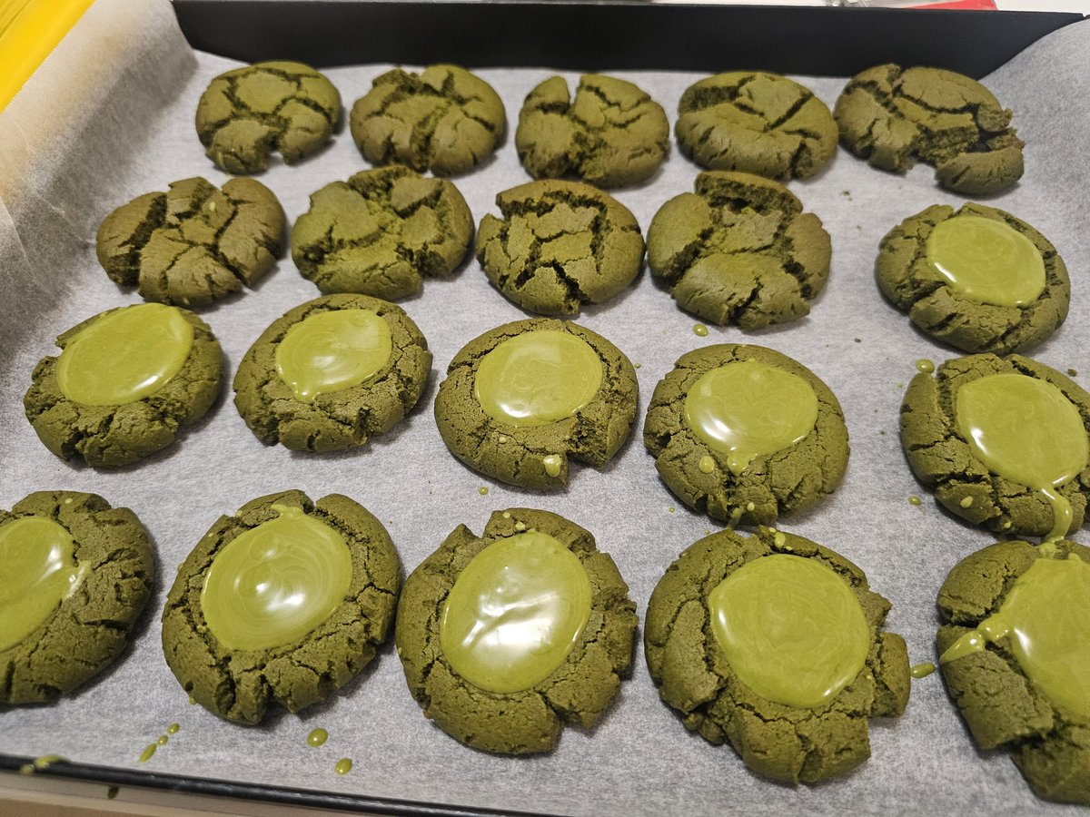 白川赤子🐯 個人勢烘焙系Vtype🎉歡迎聯動🎉 tweet media