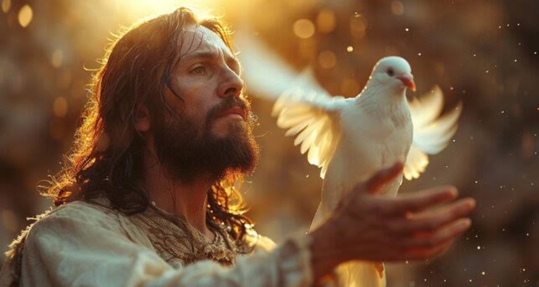 ✝️O mundo busca paz, mas a paz só pode ser encontrada por Jesus, Ele é o príncipe da paz.

Quem aceitou Jesus no seu coração pode experimentar da paz que muitas vezes é impossível de explicar. Porque mesmo nos momentos difíceis, Deus está no controle e nos ajuda a ter  Paz.