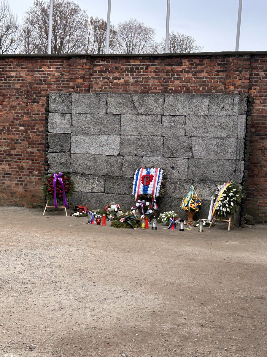 Tennessee Freedom tweet media