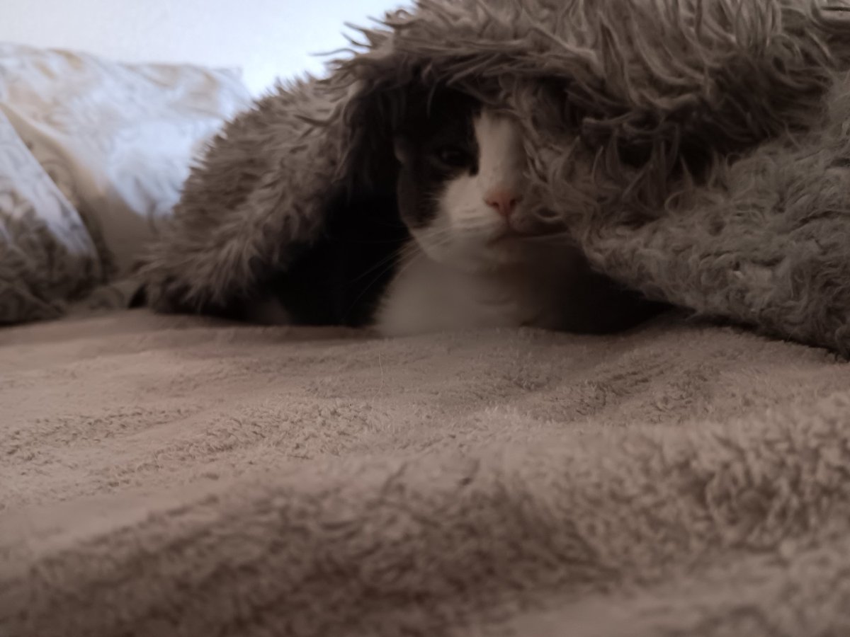 VisibleThoughts's tweet photo. She's just a little bahby. 🤩 https://t.co/kNe7vaULN6