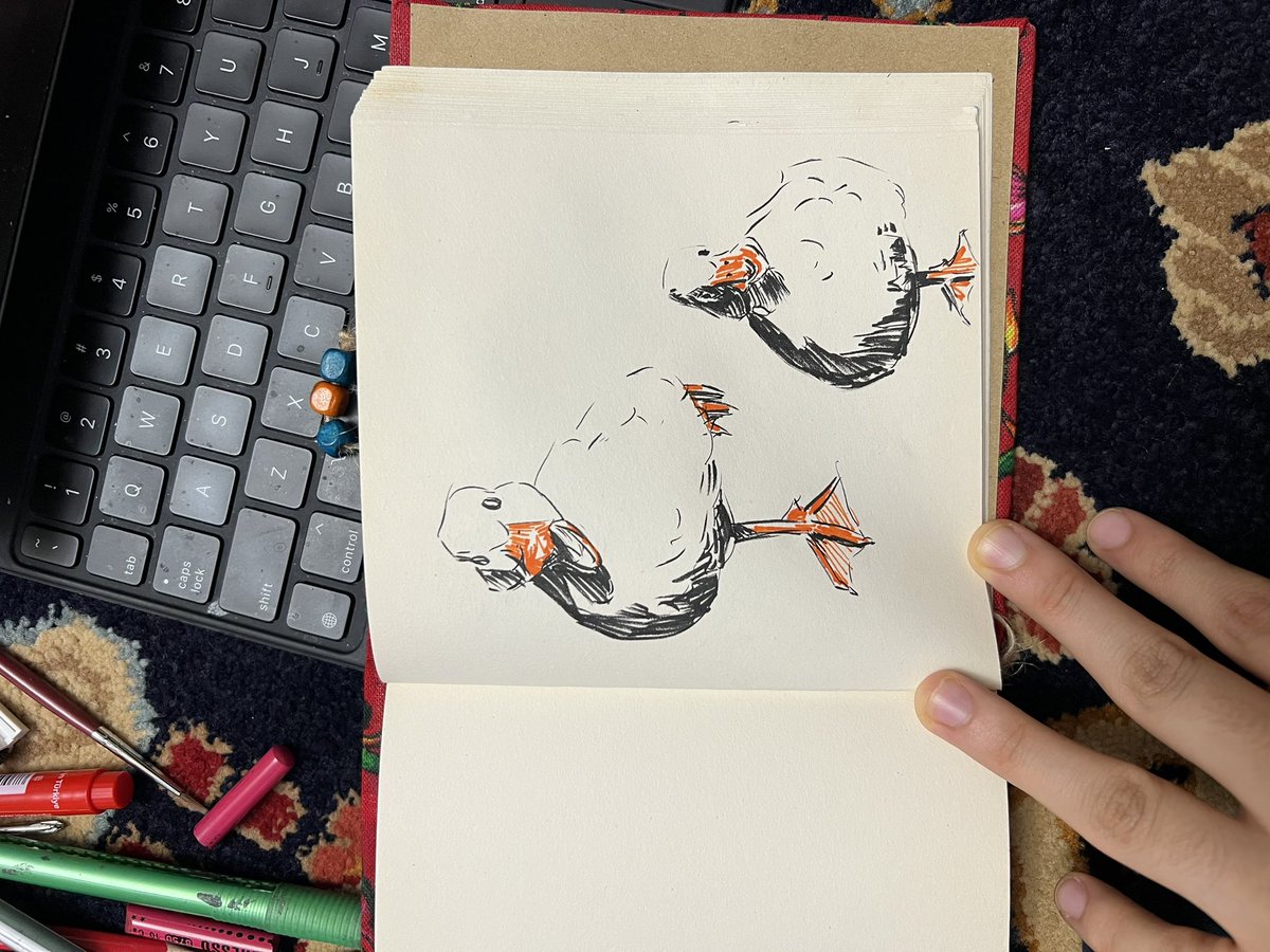 کفتر پاسکال tweet media