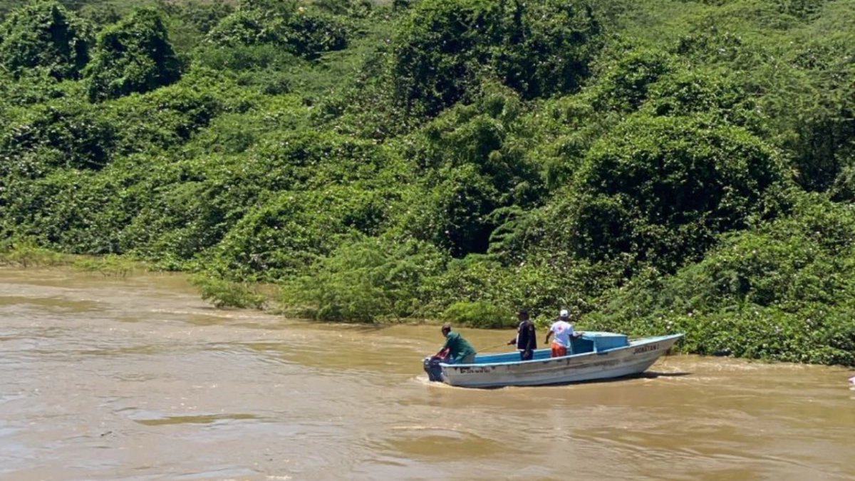 SIN24Horas's tweet image. Rescatan con vida mujer que se lanzó al río Yaque junto a hijo; familiares señalan problemas de salud mental #NoticiasSIN 

Detalles en: noticiassin.com/pais/provincia…