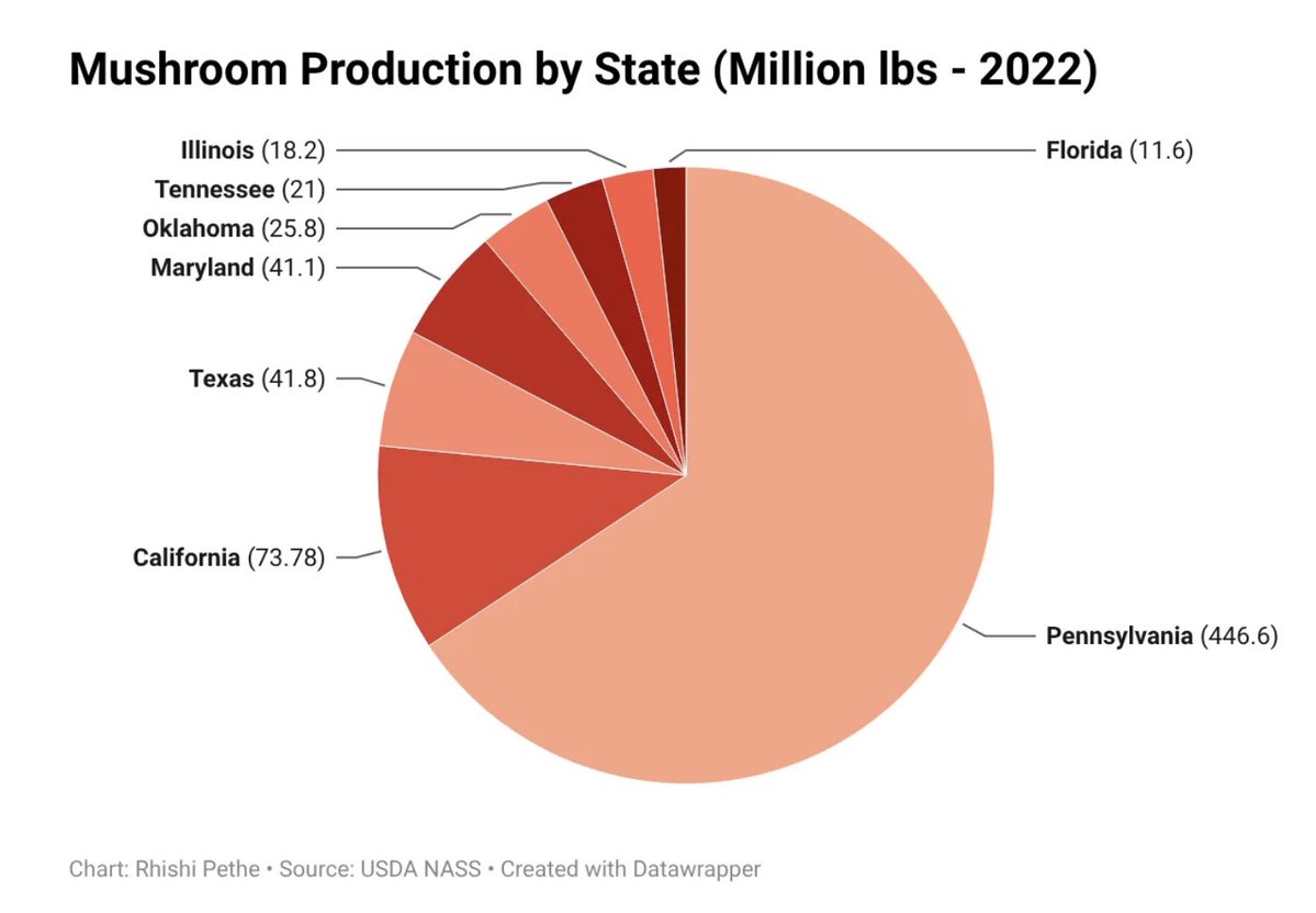 dylan matthews 🔸 tweet media