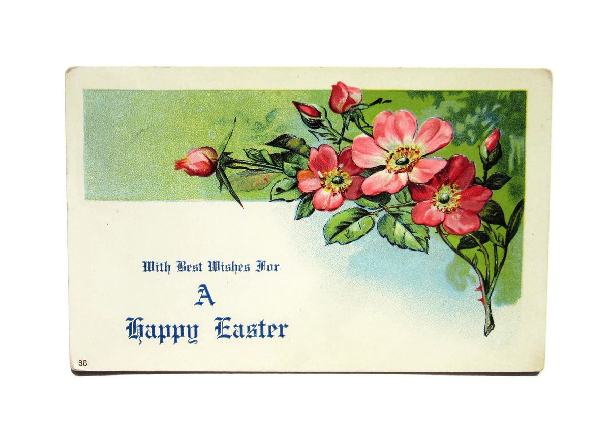 antiquelove22's tweet image. Antique Easter Postcard With Best Wishes for a Happy Easter Featuring Beautiful Embossed Spring Roses Flowers Makes Great Vintage Home Decor tuppu.net/4fbfc4c1 #vintage #Etsy #etsyseller #EasterHoliday