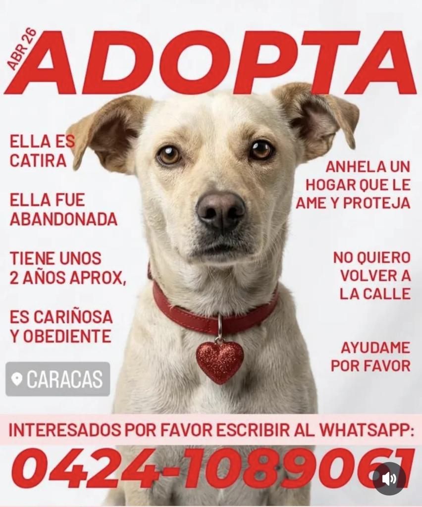 gracon27's tweet image. #Caracas
🐶♥️🐶♥️🐶♥️🐶♥️🐶♥️
Favor difundir🙏🏻
🫂🇻🇪