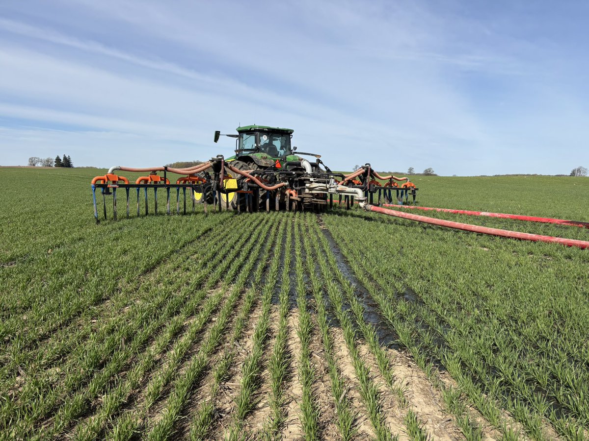 GSTE's tweet photo. Another day doing dairy farmer things… applying hog manure on wheat 2.8KM from the barn. https://t.co/lj0z526unh