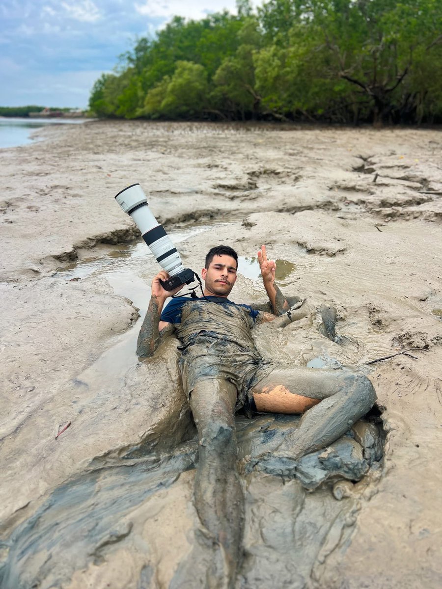 Nick Volpe tweet media