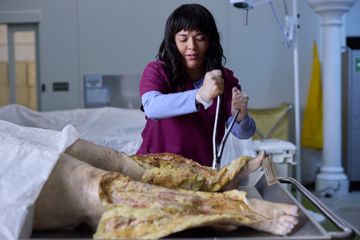 Brad @ Dread Central tweet media