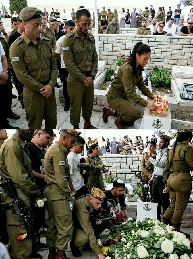 د.لوجين بنت عُمان🇴🇲 tweet media