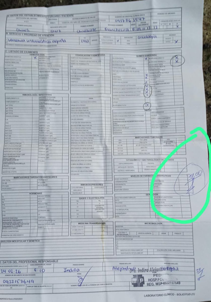 María Carola tweet media