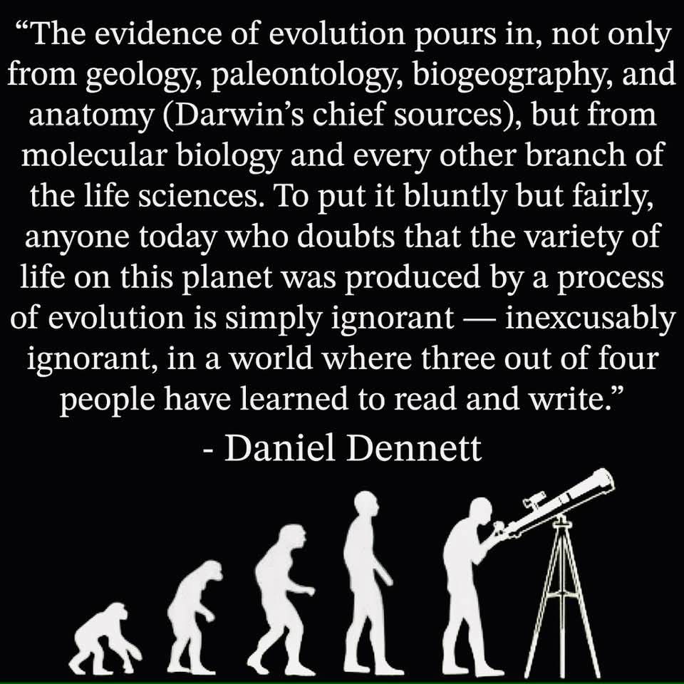 DeanoMartino1's tweet image. #Evolution