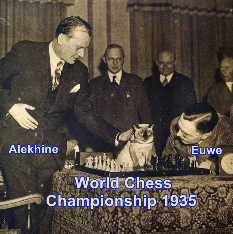 usefulchess's tweet image. Cat in 1935 World Chess Champ.: Alekhine brought his Siamese cat to the board against Max Euwe. He believed the cat brought good luck and he wanted to use it as a psychological tactic, as Euwe was allergic to cats. Result: Euwe won : 30 - 14.5 #chess #Alekhine #Euwe #chesshistory