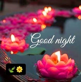 Madiha915's tweet image. Hi @AshrafParw26055 
the pretty smile of Doctor 
@DHart2407 
can give you nice recovery 
without medicine 💊 
💖🍃💖
#GoodNight 
Sleep well