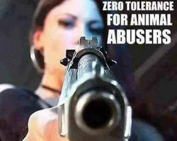 lor813_lf's tweet image. L'essere #umano è #merda 💩 e merita l'estinzione