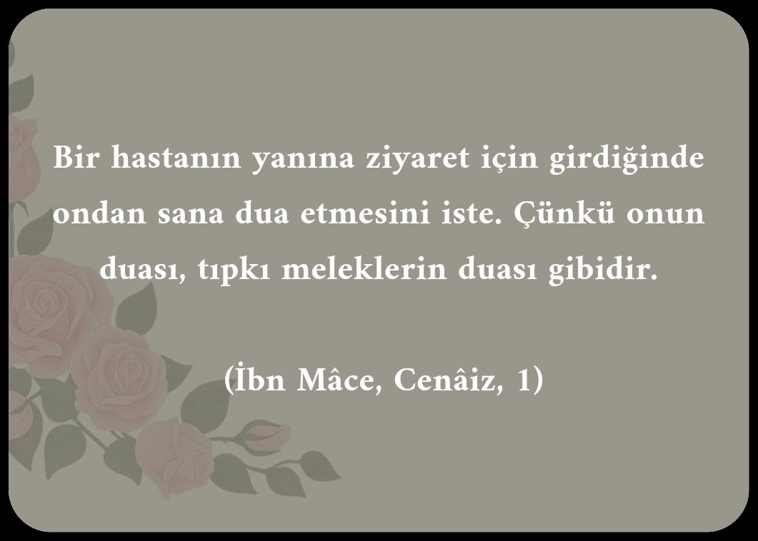 Büşra CAN (@bracan12102478) on Twitter photo 