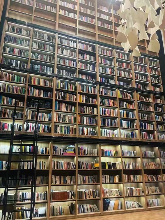 TLockwood04's tweet image. "The Midnight Library" by Matt Haig—A tiny library, infinite "what-ifs". Grief, hope, and choosing your life. Grab it, curl up, and let it wrap your heart. #BookLovers #MustRead