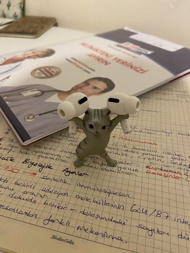 Ray Mond tweet media