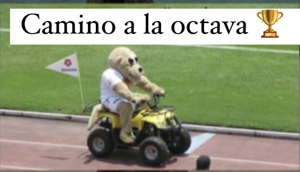 mauri tweet media