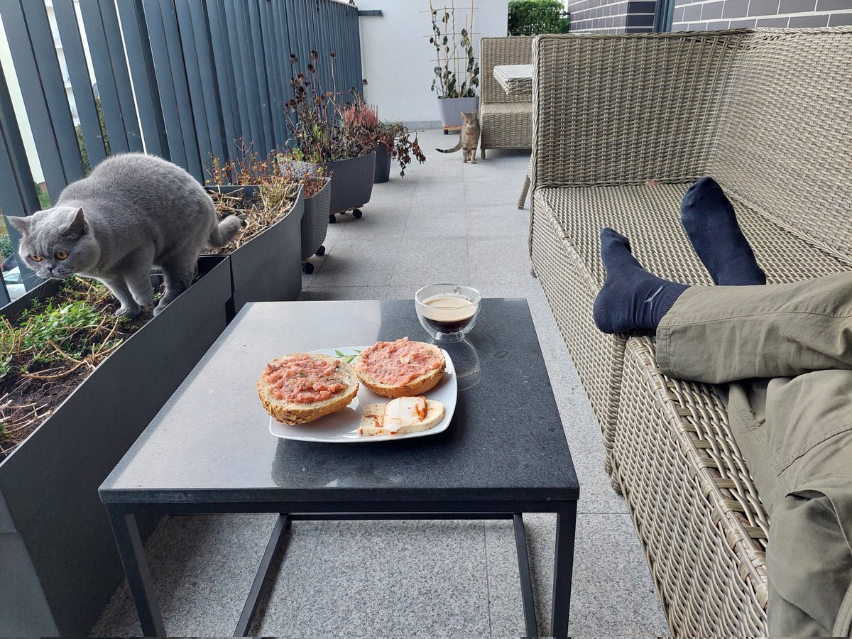 Remek Remkowski ♠️♥️♦️♣️ tweet media