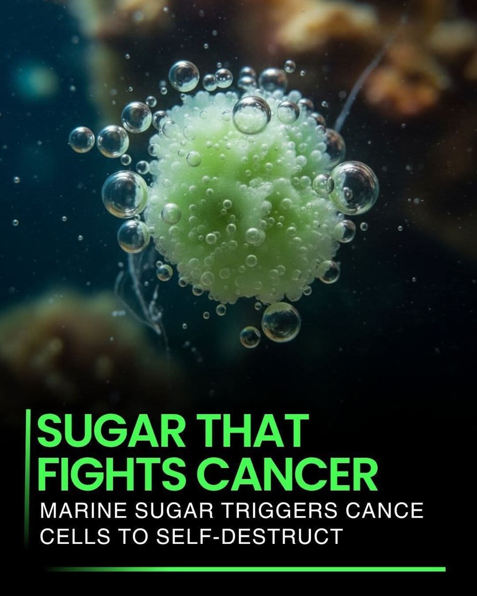 Shining Science tweet media