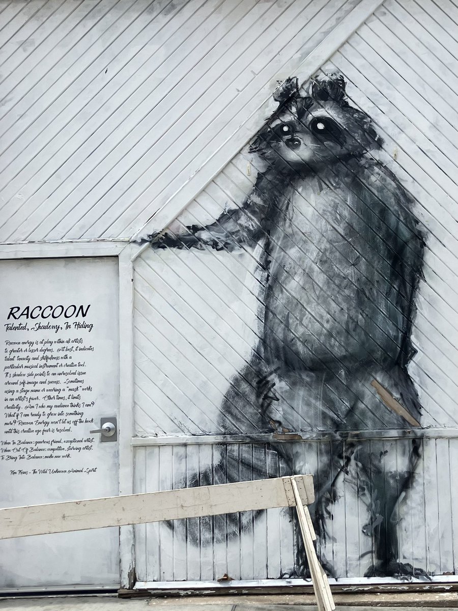 jdubqca's tweet image. The Raccoon in the Northside Neighborhood #streetart #iowacity