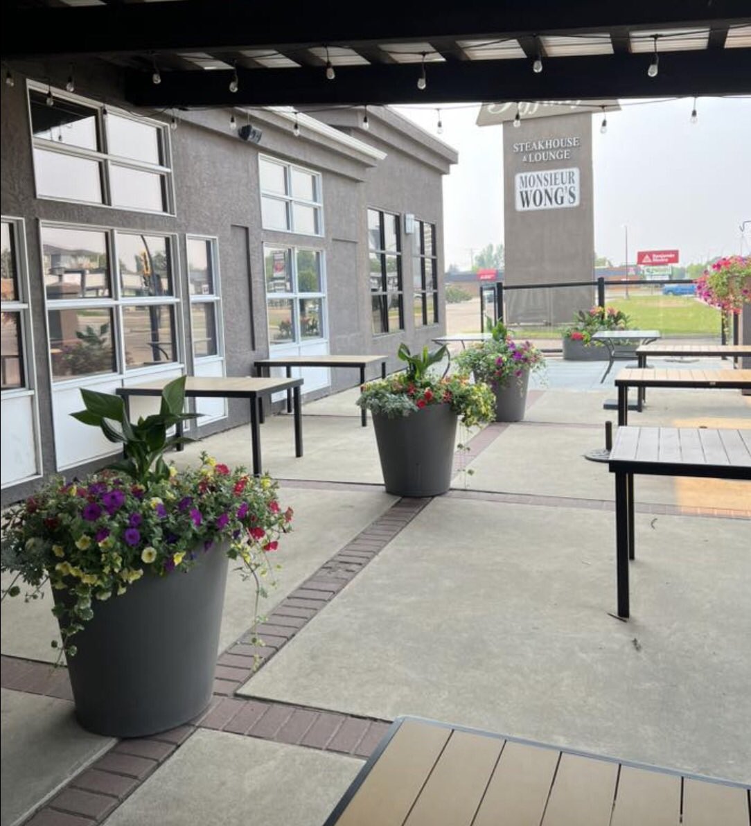 DesertPlanters's tweet image. Stunning! All over town! Stop and smell the flowers! The Skyline,Terrace &amp;amp; the Plaza #selfwateringplanter making your Community Bloom Brighter! The arrangements of flowers created @Coaltrailgh Thank you. Brighton your landscape! #city  #greenhouse  #landscapes 🇨🇦