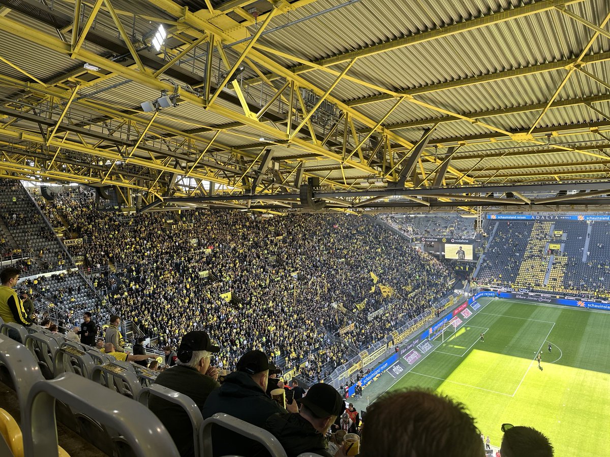 Zuri Gorri tweet media