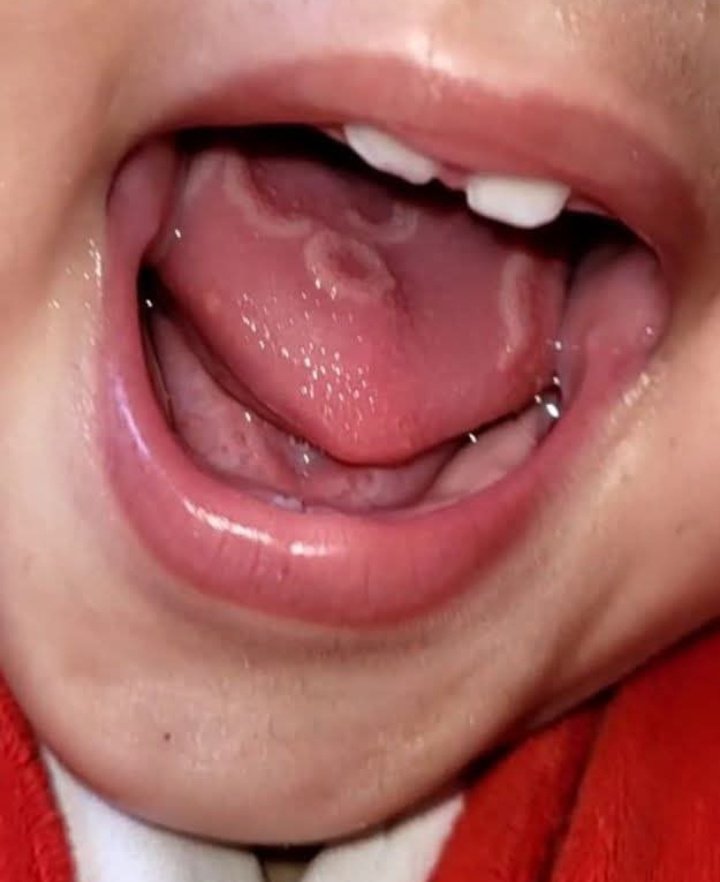 🍉*Fadi - Gaza Aid Request🍉 tweet media