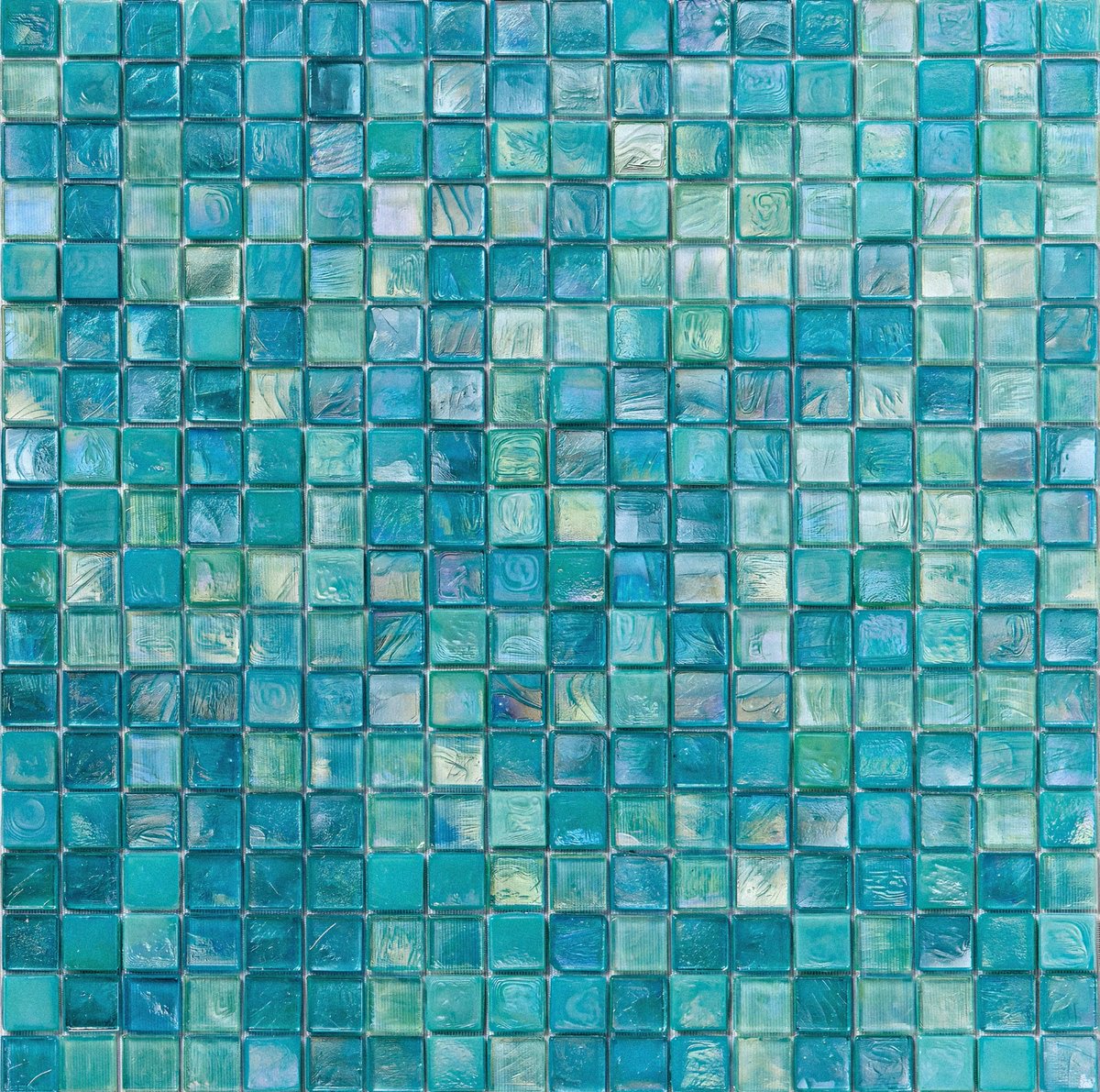 blossom. tweet media