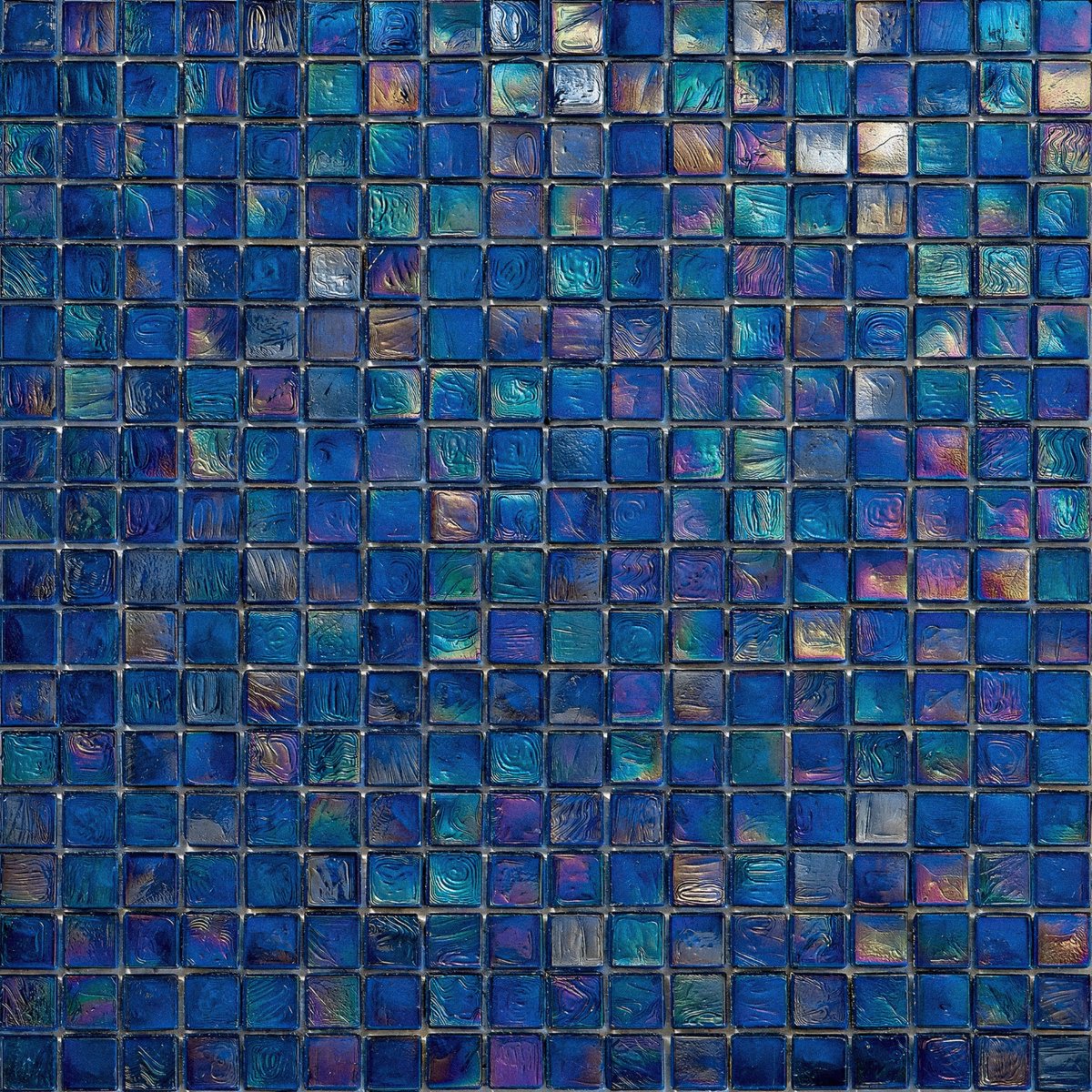 blossom. tweet media