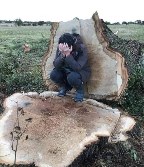 Kadir GÜNDOGDU tweet media