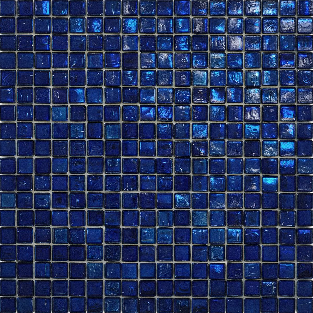 blossom. tweet media