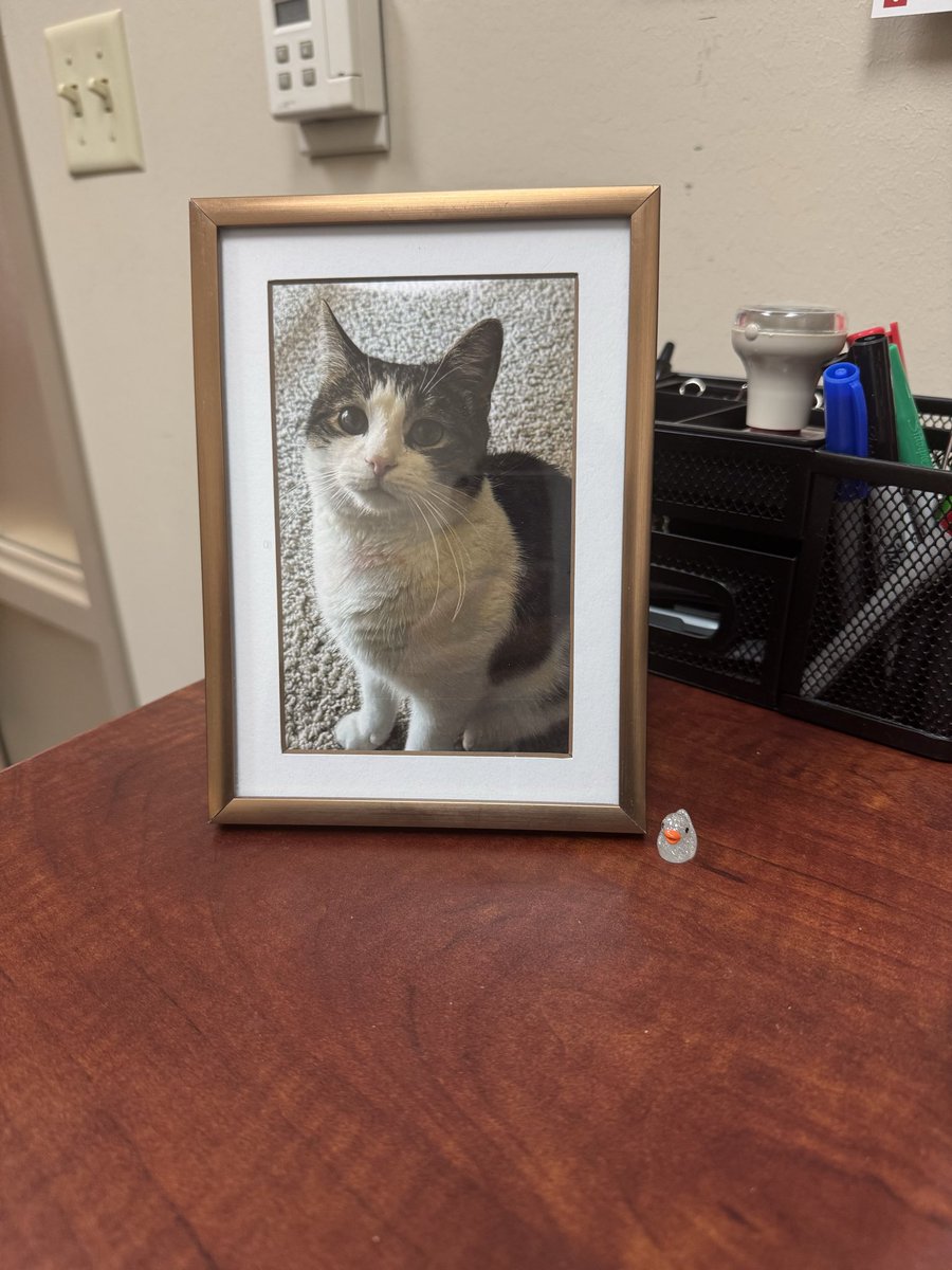 yoimsydney's tweet photo. Have this on my work desk so I remember who I’m doing this all for https://t.co/Fg23afbHdj