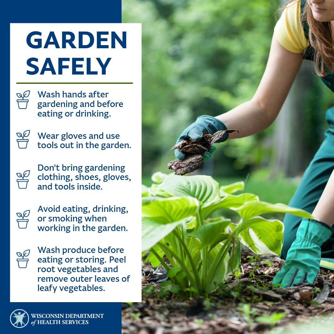 DHSWI's tweet image. With temps inching upward, you may be itching to get out into the #garden for #PlantingSeason.
Make sure you keep yourself and your family safe from harmful substances that could be in the soil. Check our list of gardening tips and resources: dhs.wisconsin.gov/environmental/… #SoilHealth