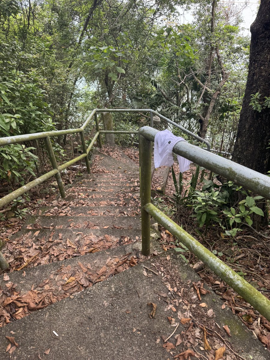 FirTime2Show tweet media