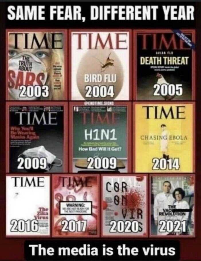 Bazaar ⭐ tweet media