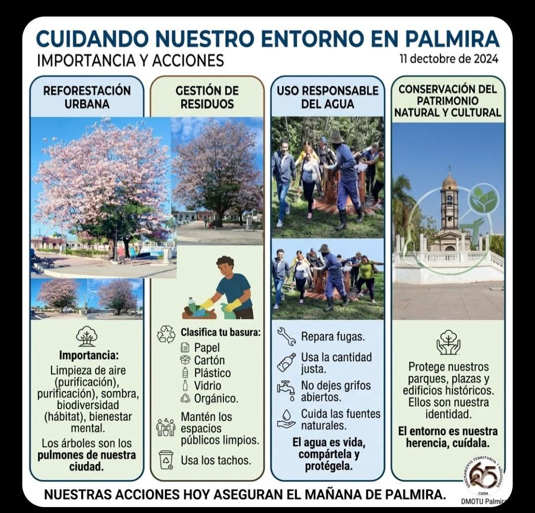 dmepalmira1's tweet photo. Cuidar nuestro entorno es tarea de todos.
Cuidemos nuestro entorno 😉
@CubaMined https://t.co/0VP8VtXy2l