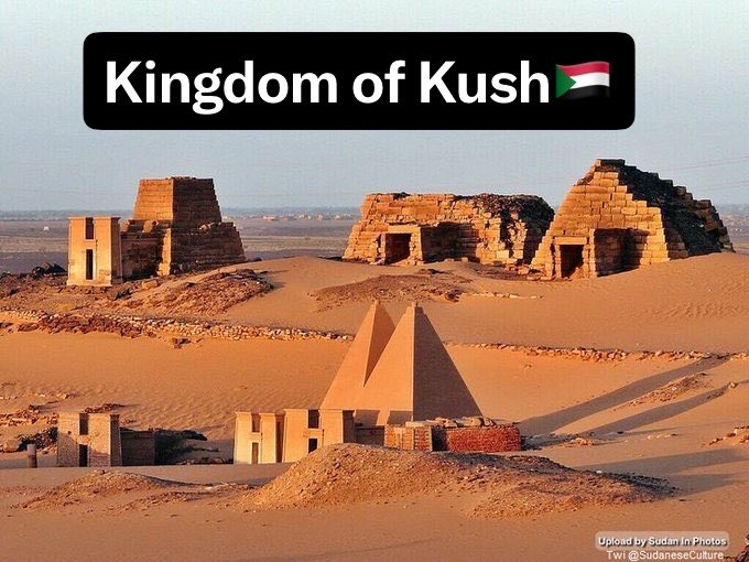 اور بعانخي تود 👑 🇸🇩 🇵🇸 tweet media