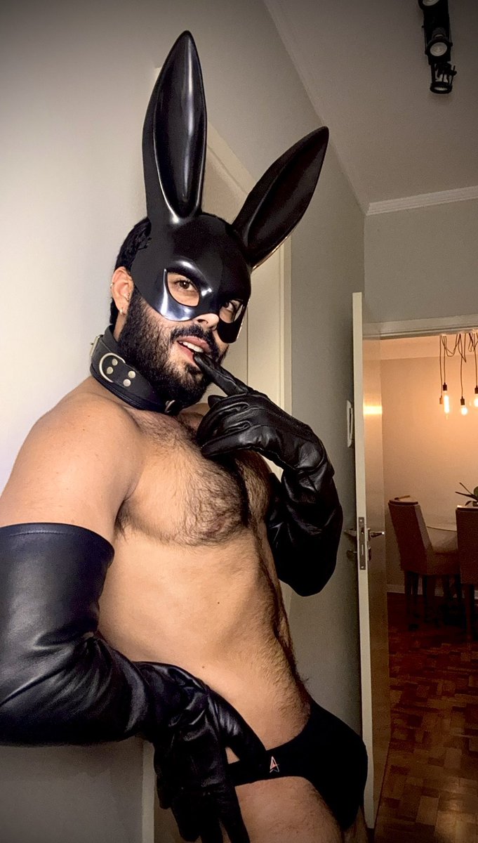 Only Pigs 🐽 tweet media