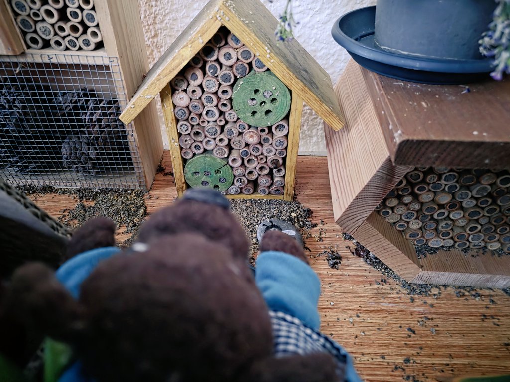 Oskar und Entchen&Co. tweet media