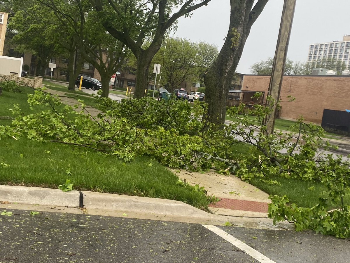 William Pelarenos tweet media