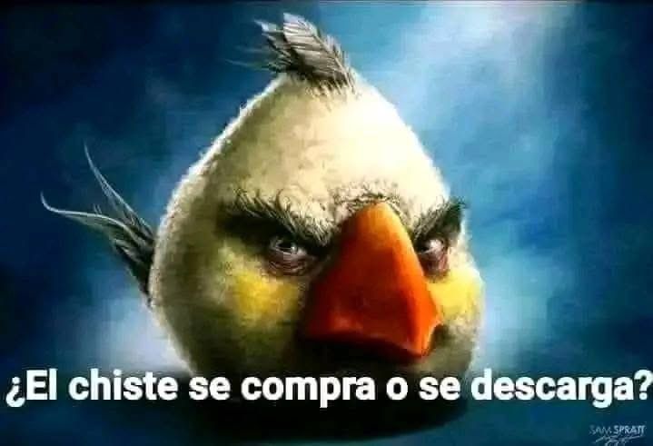 Danieladrado's tweet photo. @AlexCata_05 https://t.co/yyeyPZGg1H