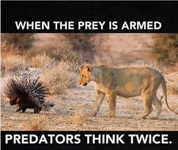 USA_Native_'s tweet photo. Yep, this is true! https://t.co/P6eBASgSSO
