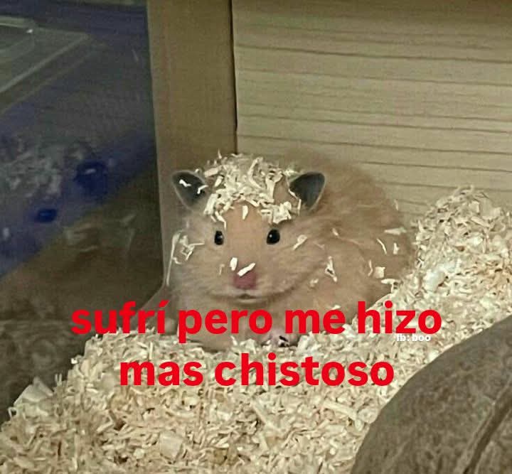 Animalitos en aprietos. tweet media
