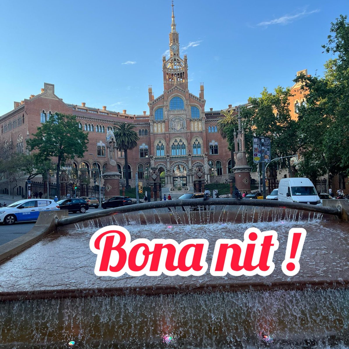 Josep Vizcarro tweet media